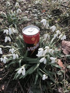 644396_924474160948731_6396319038353910723_n